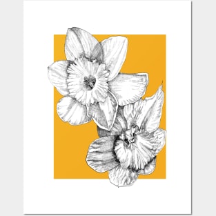 Ink - Daffodil Variation 1 Posters and Art